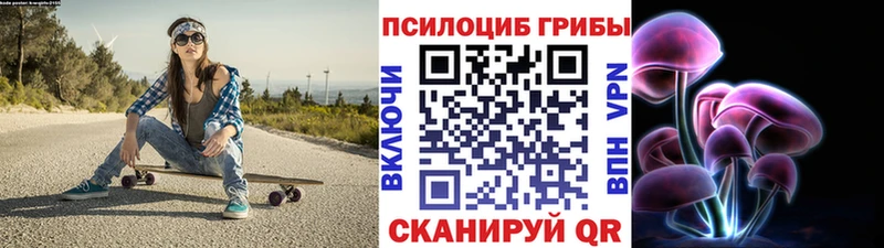 цены Салехард Галлюциногенные грибы мицелий